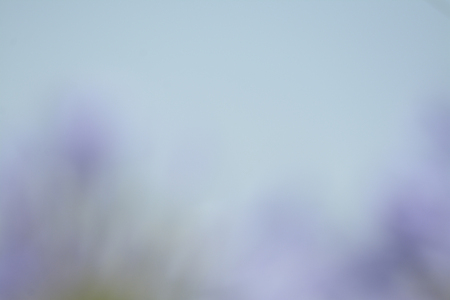 Light blue skyの写真素材