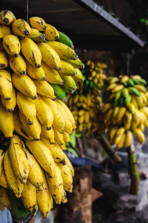 Bananas view at a local fruit market near the Ravana Falls in Ella, Sri Lankaの写真素材
