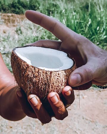 Sri Lankan woman giving an open coconut to drink to a young white man. Close up view with hands and the nut. Fresh coconut water to drink to stay healthy. Interacting with locals during travel abroad.の写真素材
