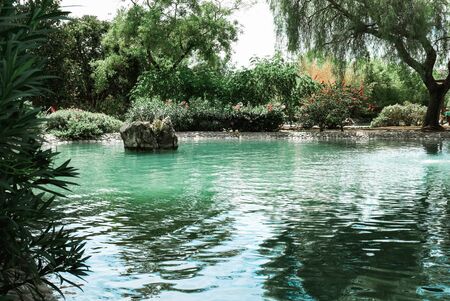 Beautiful landscape with a pond surrounded by green trees in a park in Marbella, Spain. Reflection in the clean water on a sunny day. Peaceful scene with no people around.の写真素材