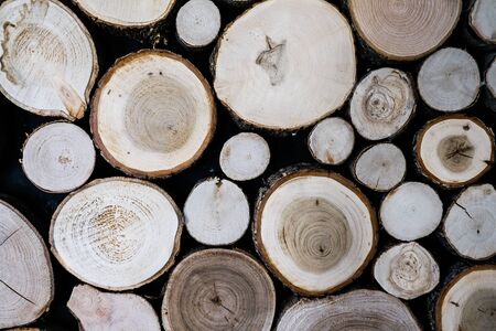 Close up view of cut wooden log. Unique circles from old trees. Creative modern interior design idea for home wall decor. Abstract closeup wood background texture in detail with rings and cracks.の写真素材