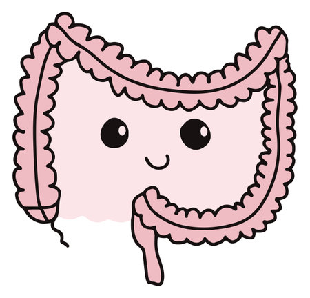 Simple gastrointestinal illustration of bowel internal system. Healthy gut concept. Human body parts in vectorのイラスト素材