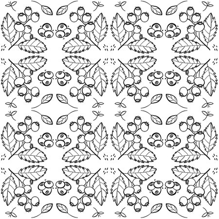 Sweet shadberry or blueberry repeating pattern. Seamless texture with wild berries. Fresh summer motives in blackのイラスト素材