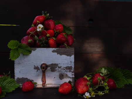 Strawberries in a box on a dark backgroundの写真素材