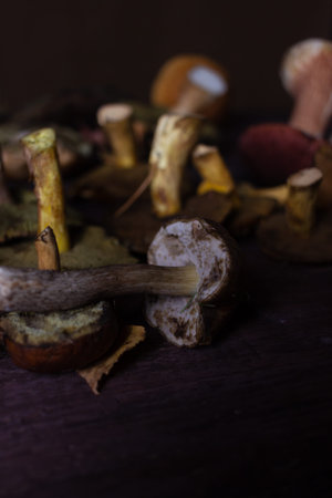 Autumn still life with mushrooms on a dark background