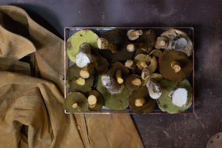 Autumn still life with mushrooms on a dark backgroundの写真素材
