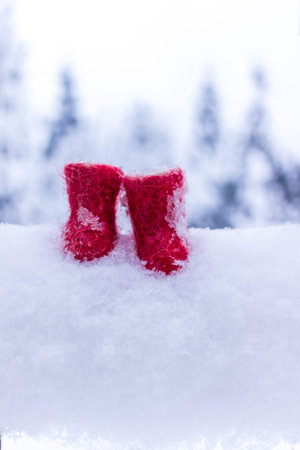 winter still life small red boots on the snow