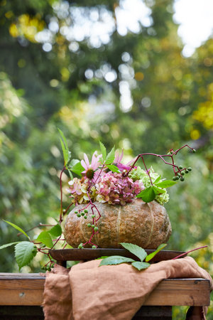 Decorative pumpkin with flowers on a wooden table in the garden.の写真素材
