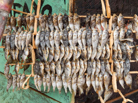 Small dried fish hangingの写真素材
