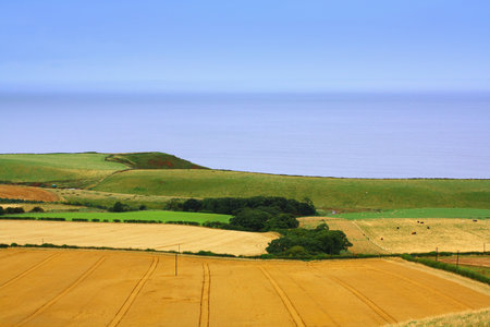 Panorama of Scottish landscape with fields and sky