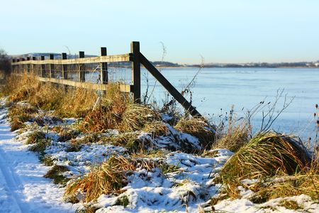 Winter scene with grrassの写真素材