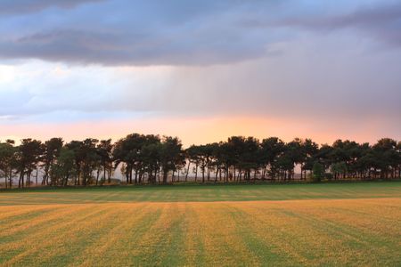 Beautiful rural scenery at sunset, Scotlandの写真素材