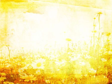 Beautiful grunge background with meadow of daisiesの写真素材