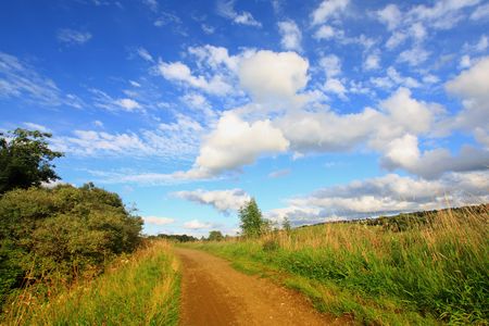 Summer road in Scotlandの写真素材