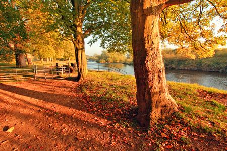 Autumn in the park, Scotlandの写真素材