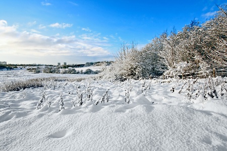 Beautiful wintery landscape in Scotlandの写真素材