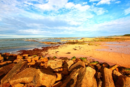 Cambo Beach, Fife, Scotlandの写真素材