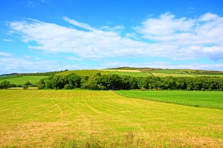 Sunny landscape with fields and blue sky in Scotlandの写真素材