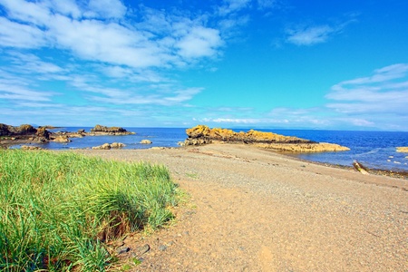 Ayrshire in Summer, Scotlandの写真素材