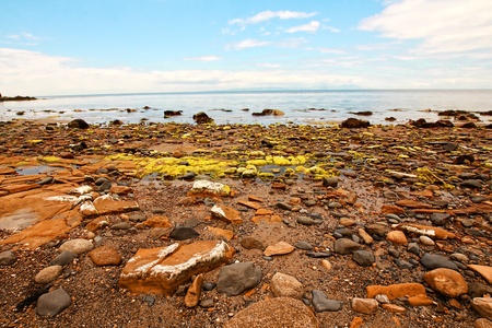 Ayrshire in Summer, Scotlandの写真素材