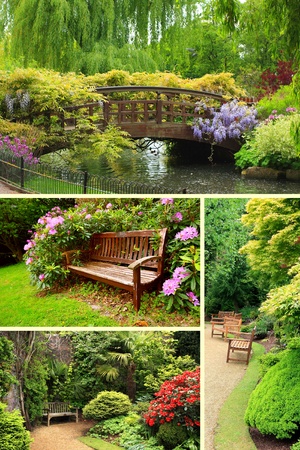 Garden collection, Summer timeの写真素材