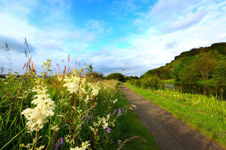 Summer rural path along canalの写真素材