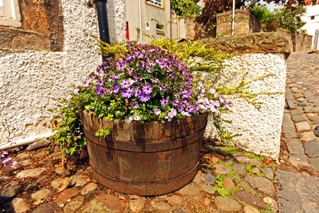 Wooden flowerpot with beautiful flowers in the street of old village, Scotlandの写真素材