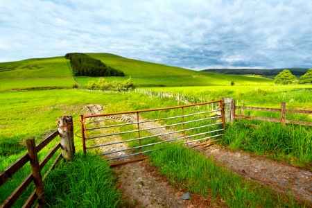 Spring rural landscape with a fence,  Scotland の写真素材