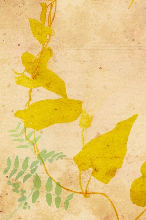 Beautiful vintage background with autumnal ivy leaves の写真素材