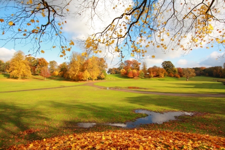 Beautiful, sunny autumn in the park of Falkirk, Scotland, UKの写真素材