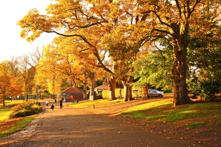 Wonderful autumnal scene in the park of Falkirk, Scotlandの写真素材