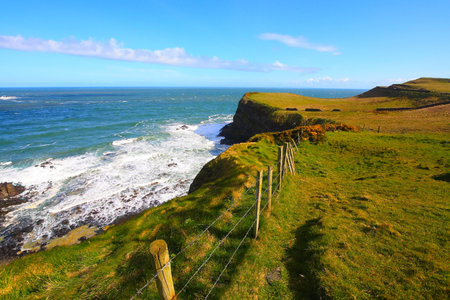 Irish coastline in Springtime 