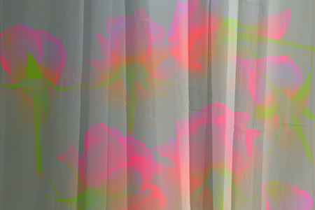 Pretty abstract floral background with rosesの写真素材