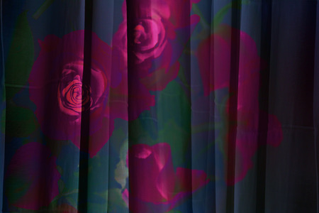 Pretty abstract floral background with rosesの写真素材