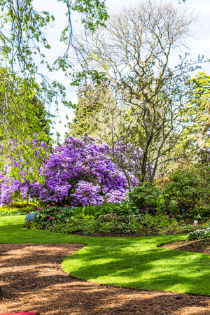 Beautiful botanic garden in Spring.の写真素材