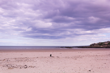 Beach with beautiful sky Scotlandの写真素材