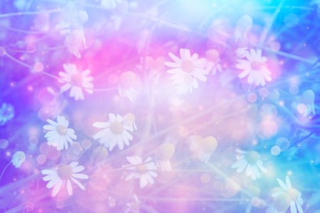 Beautiful artistic background with meadow of daisies in dreamy colors with bokeh lightsの写真素材