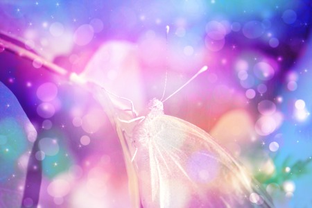 Beautiful artistic background with butterfly and bokeh lightsの写真素材