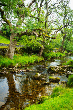 Malham Beck, Yorkshire Dales, Englandの写真素材