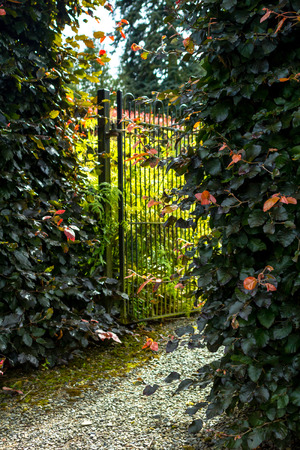 Beautiful old garden gate with hedgesの写真素材
