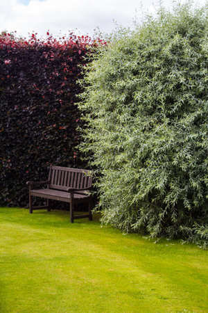 Brown garden bench with green grassの写真素材