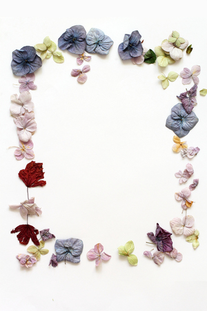 Beautiful delicate background with flowersの写真素材