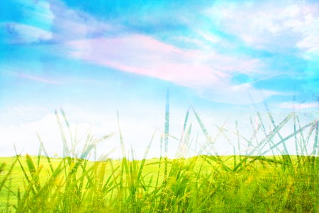 Beautiful background with green grass close upの写真素材