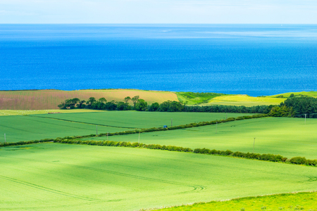 Scottish summer landscape, East Lothians, Scotland, UKの写真素材