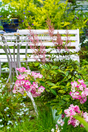Beautiful home garden in Summerの写真素材