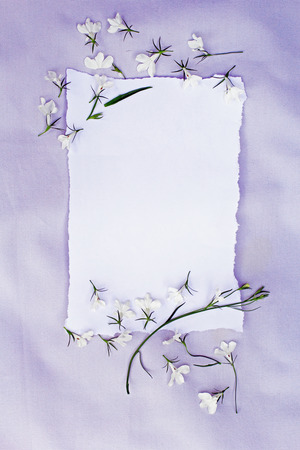 Spring, floral background with white paper and white lobeliaの写真素材