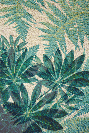 Artistic background with fern leavesの写真素材