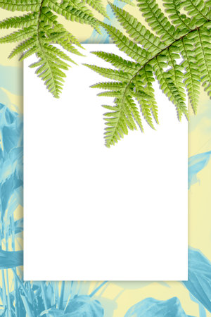 Fern leaves on artistic background with copy spaceの写真素材