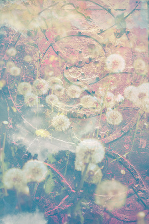 Artistic, natural background with plantsの写真素材