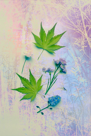 Artistic, natural background with plantsの写真素材